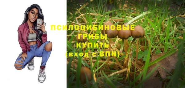 прущая мука Краснослободск