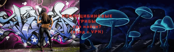 сатива Бугульма